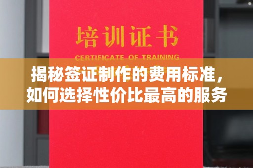扶风揭秘签证制作的费用标准，如何选择性价比最高的服务？